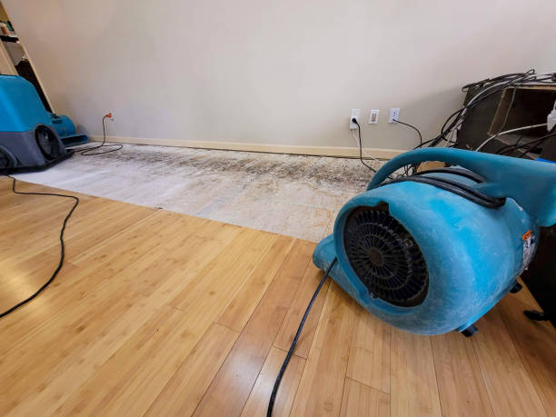 Professional Sewage Cleanup technician working in Taft, TX